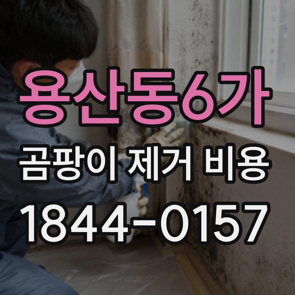 용산동6가 곰팡이 제거 비용