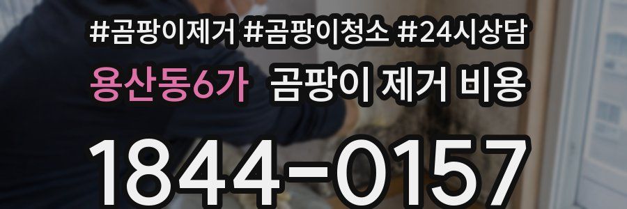 용산동6가 곰팡이 제거 비용