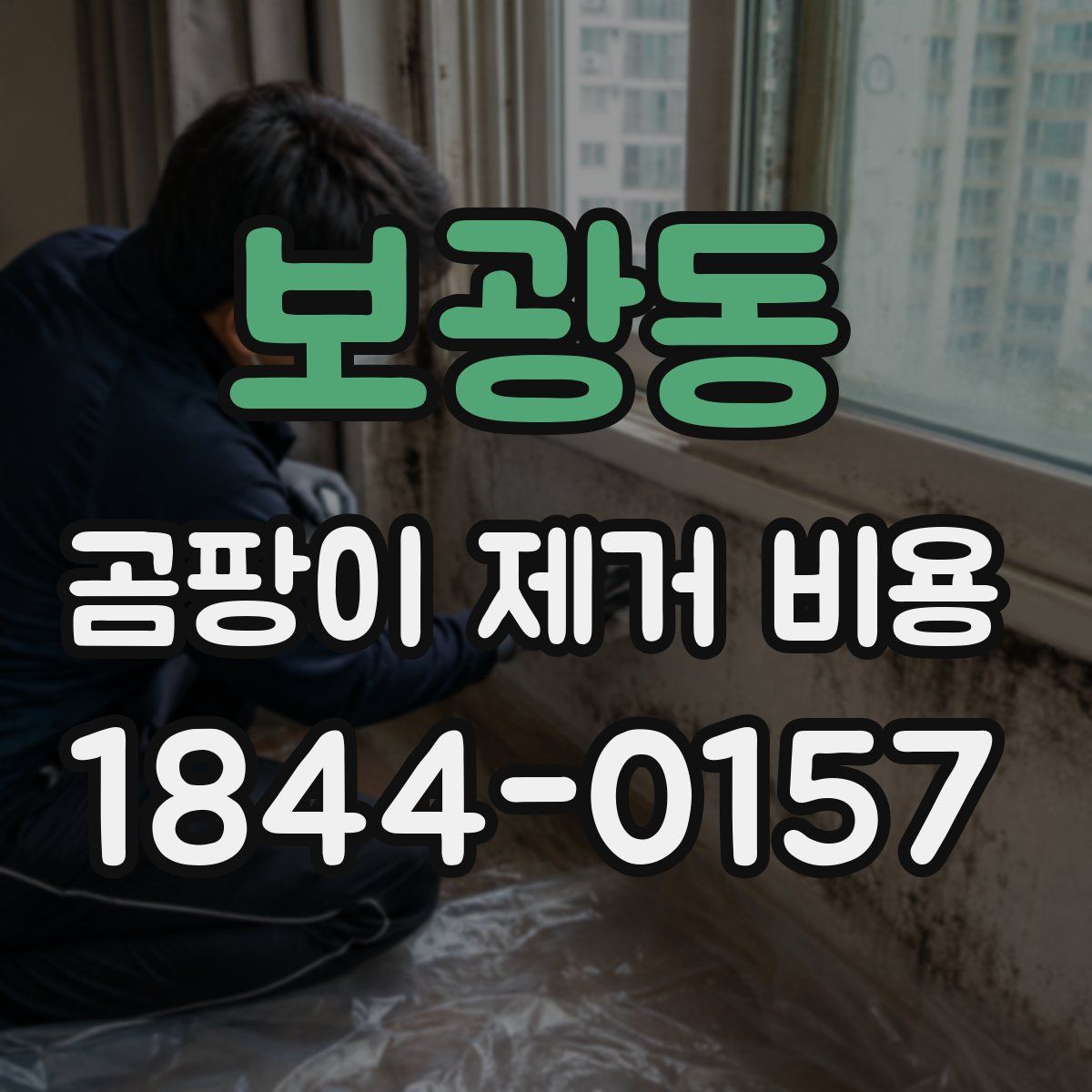 보광동 곰팡이 제거 비용