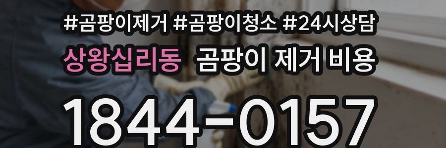 상왕십리동 곰팡이 제거 비용