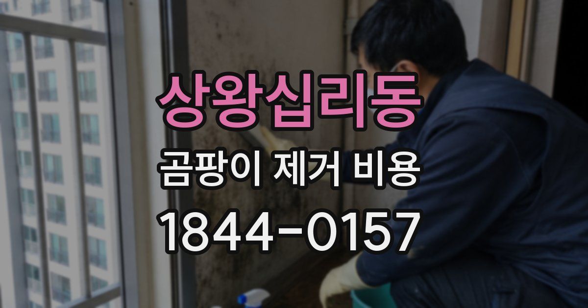 상왕십리동 곰팡이 제거 비용