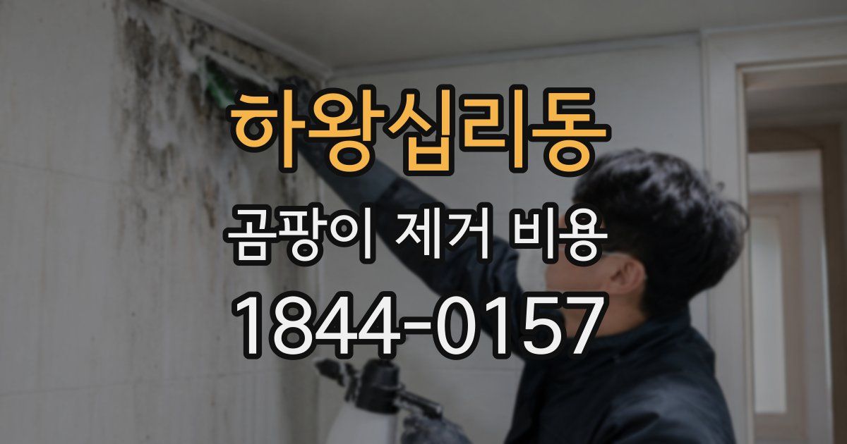 하왕십리동 곰팡이 제거 비용