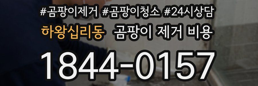하왕십리동 곰팡이 제거 비용