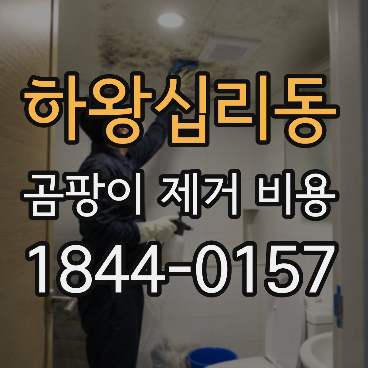 하왕십리동 곰팡이 제거 비용