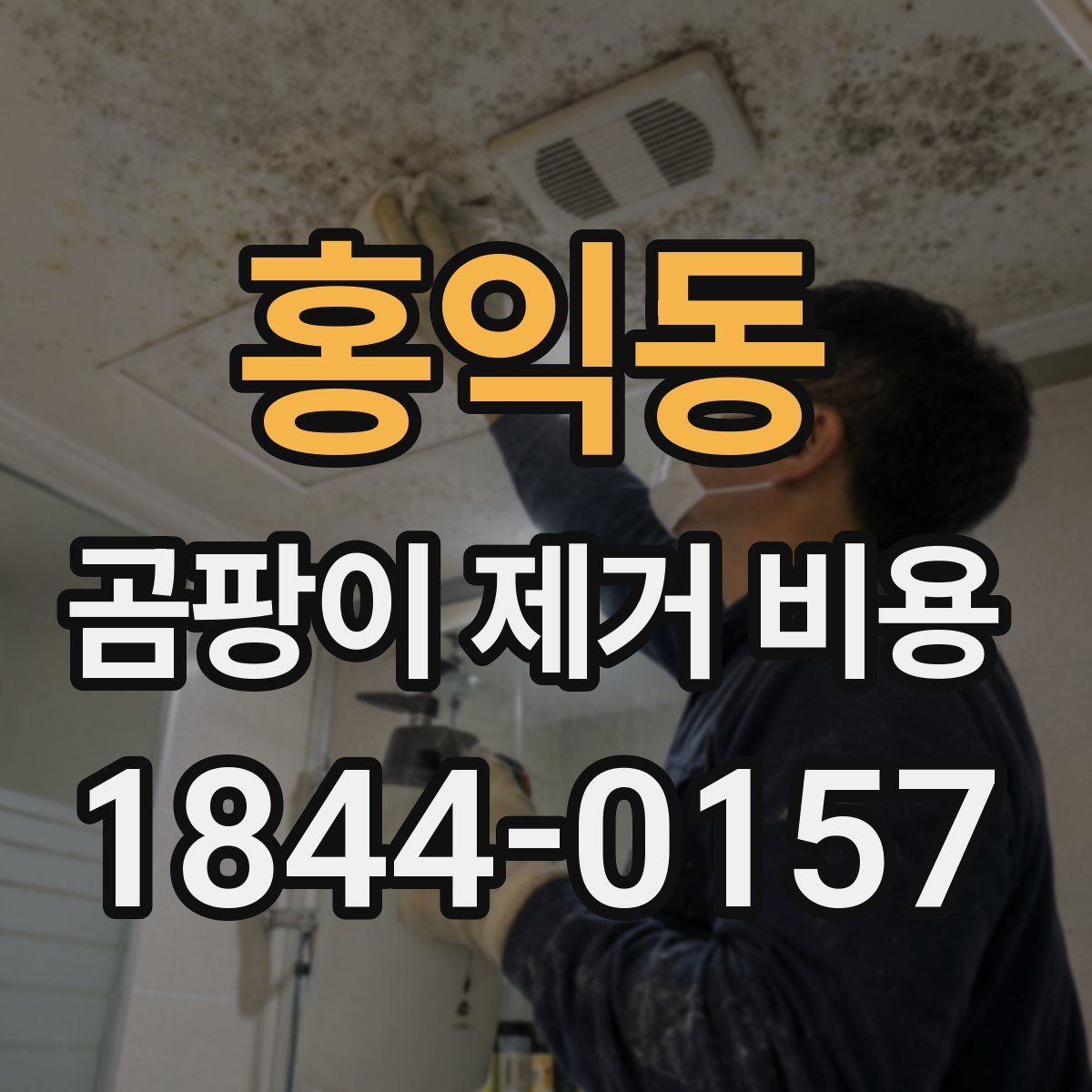 홍익동 곰팡이 제거 비용