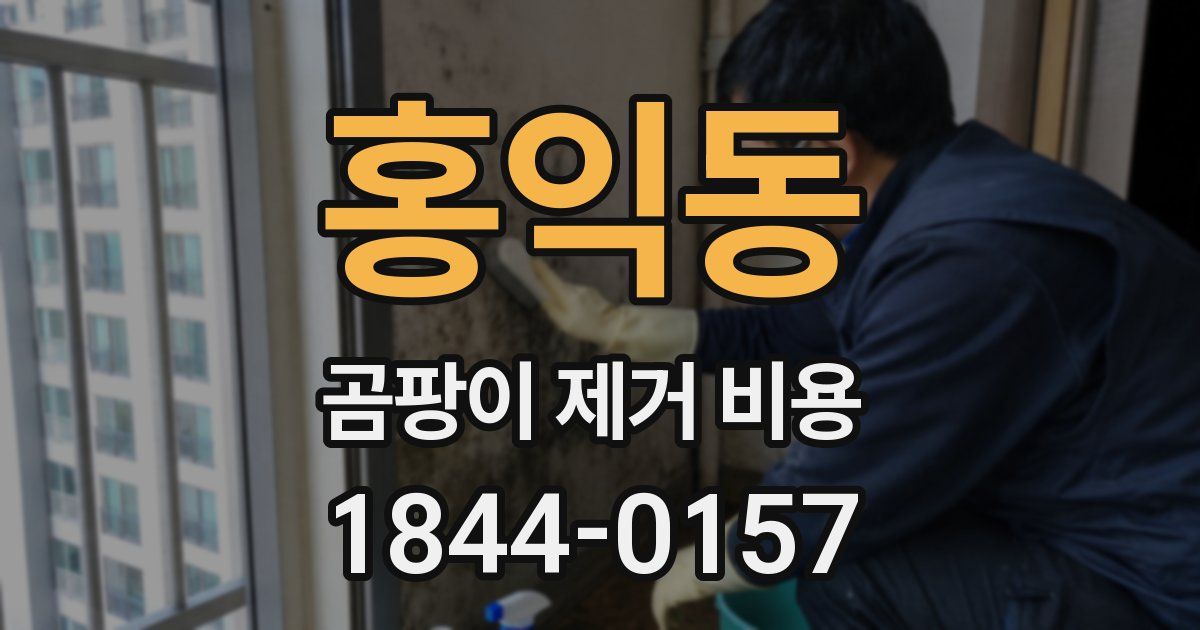 홍익동 곰팡이 제거 비용