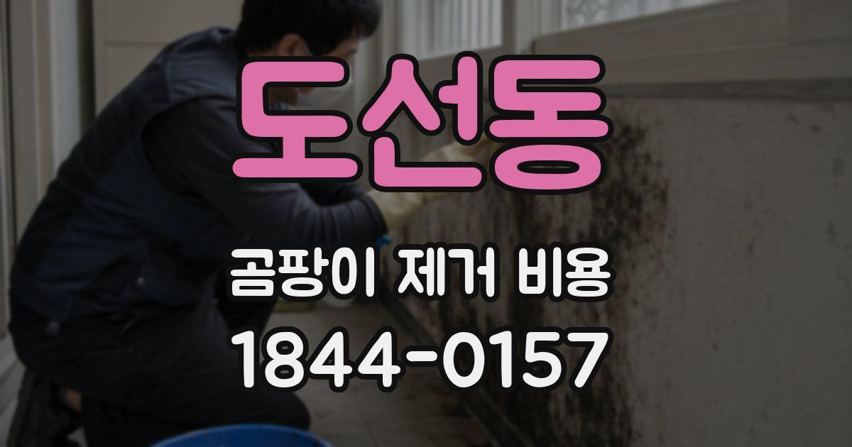 도선동 곰팡이 제거 비용