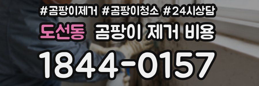 도선동 곰팡이 제거 비용