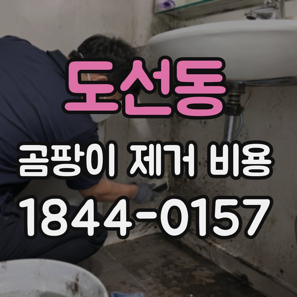 도선동 곰팡이 제거 비용
