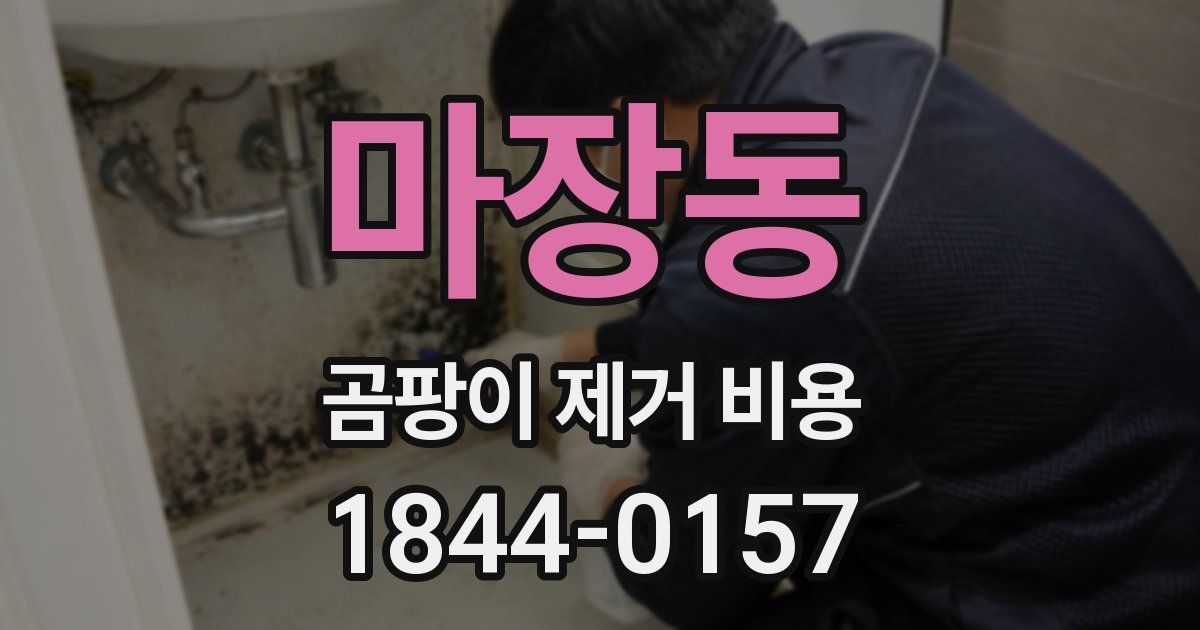 마장동 곰팡이 제거 비용