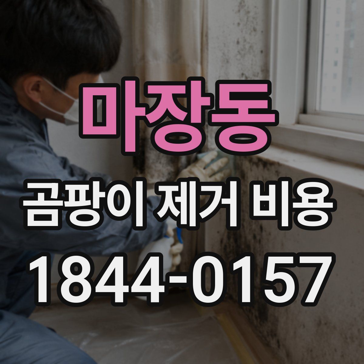 마장동 곰팡이 제거 비용
