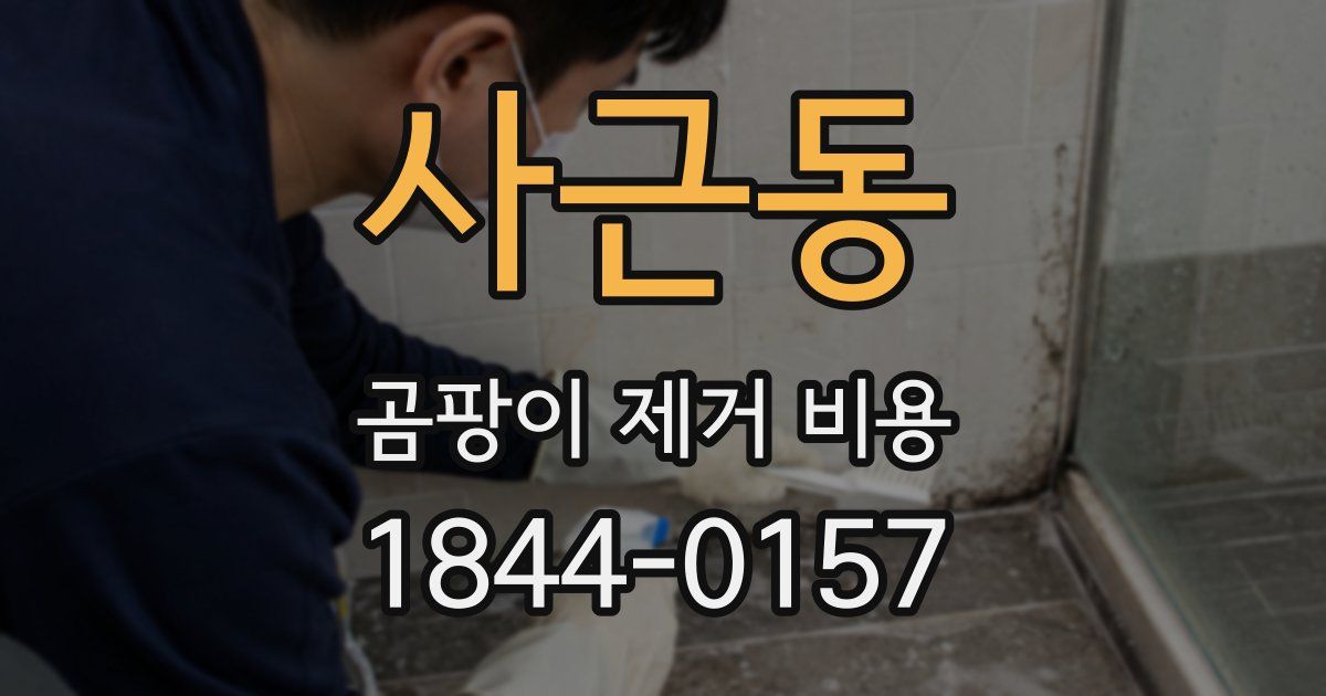사근동 곰팡이 제거 비용