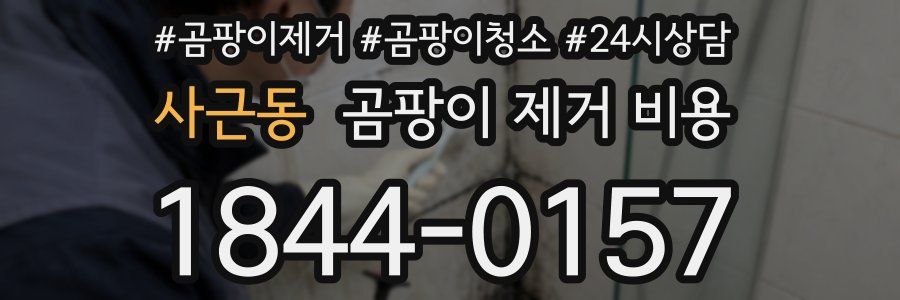 사근동 곰팡이 제거 비용