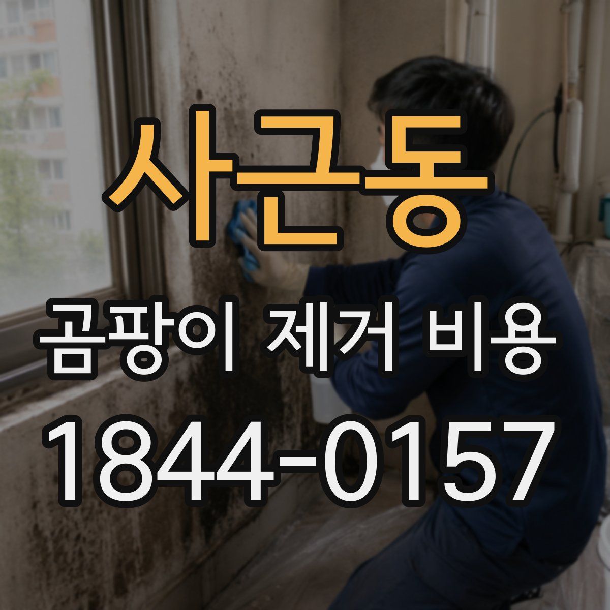 사근동 곰팡이 제거 비용