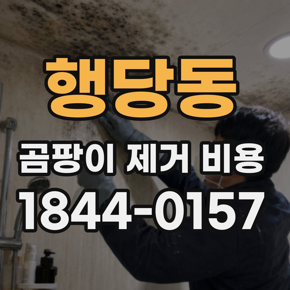 행당동 곰팡이 제거 비용