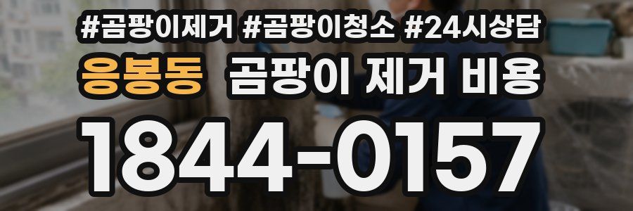 응봉동 곰팡이 제거 비용