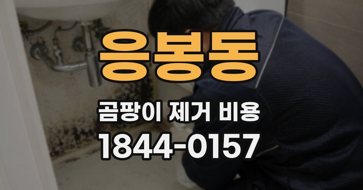 응봉동 곰팡이 제거 비용
