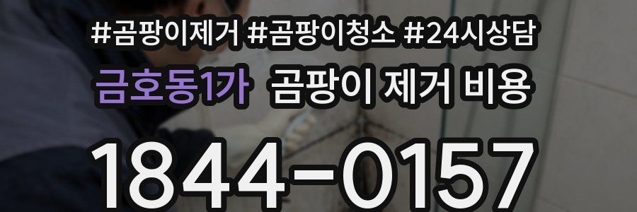 금호동1가 곰팡이 제거 비용
