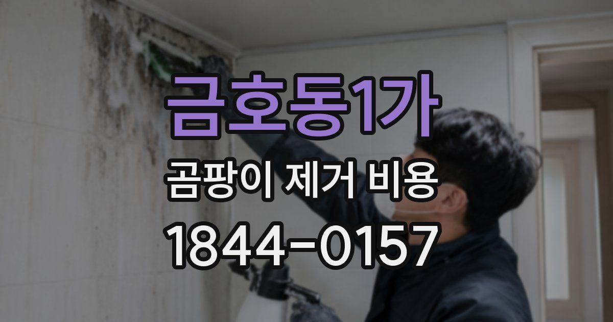 금호동1가 곰팡이 제거 비용
