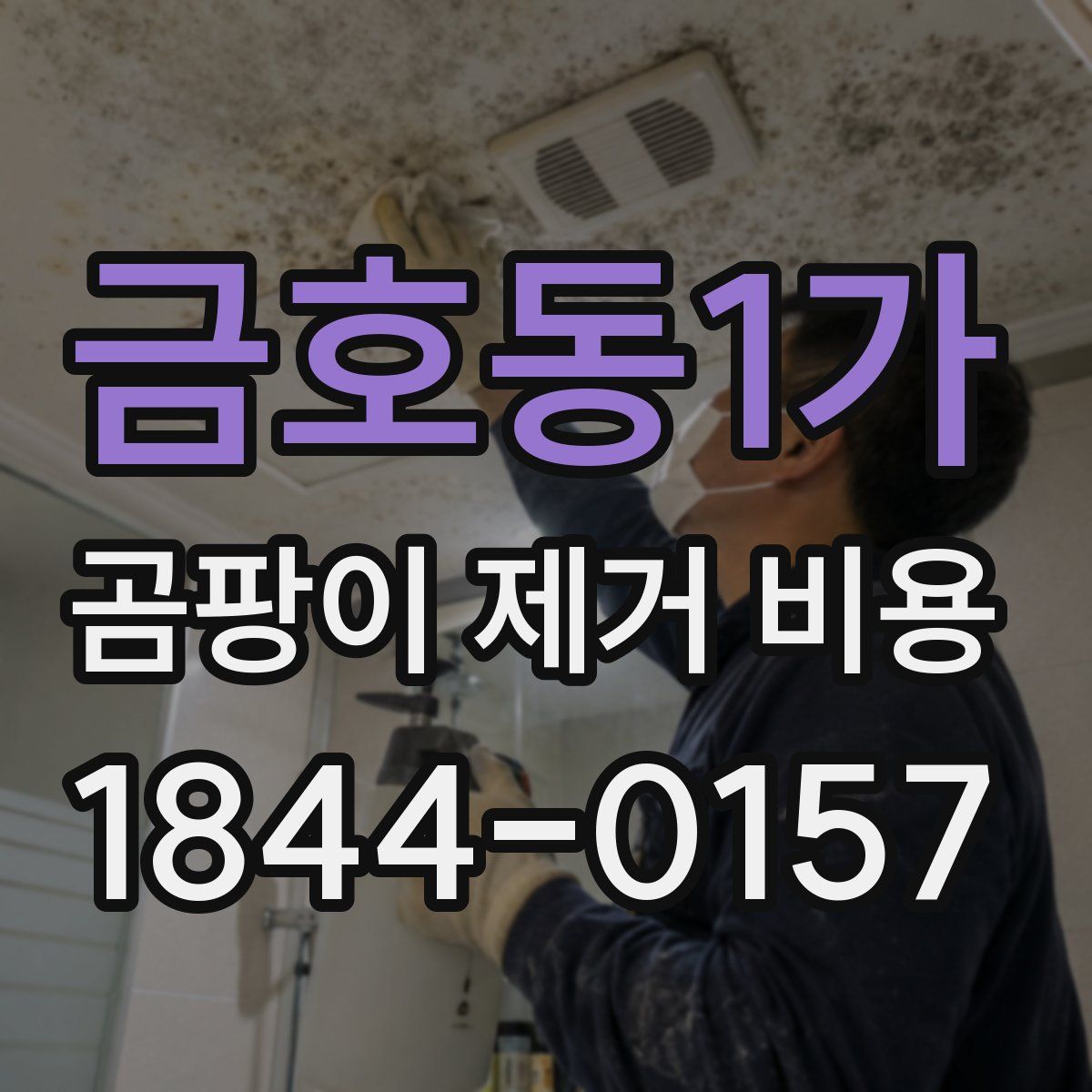 금호동1가 곰팡이 제거 비용