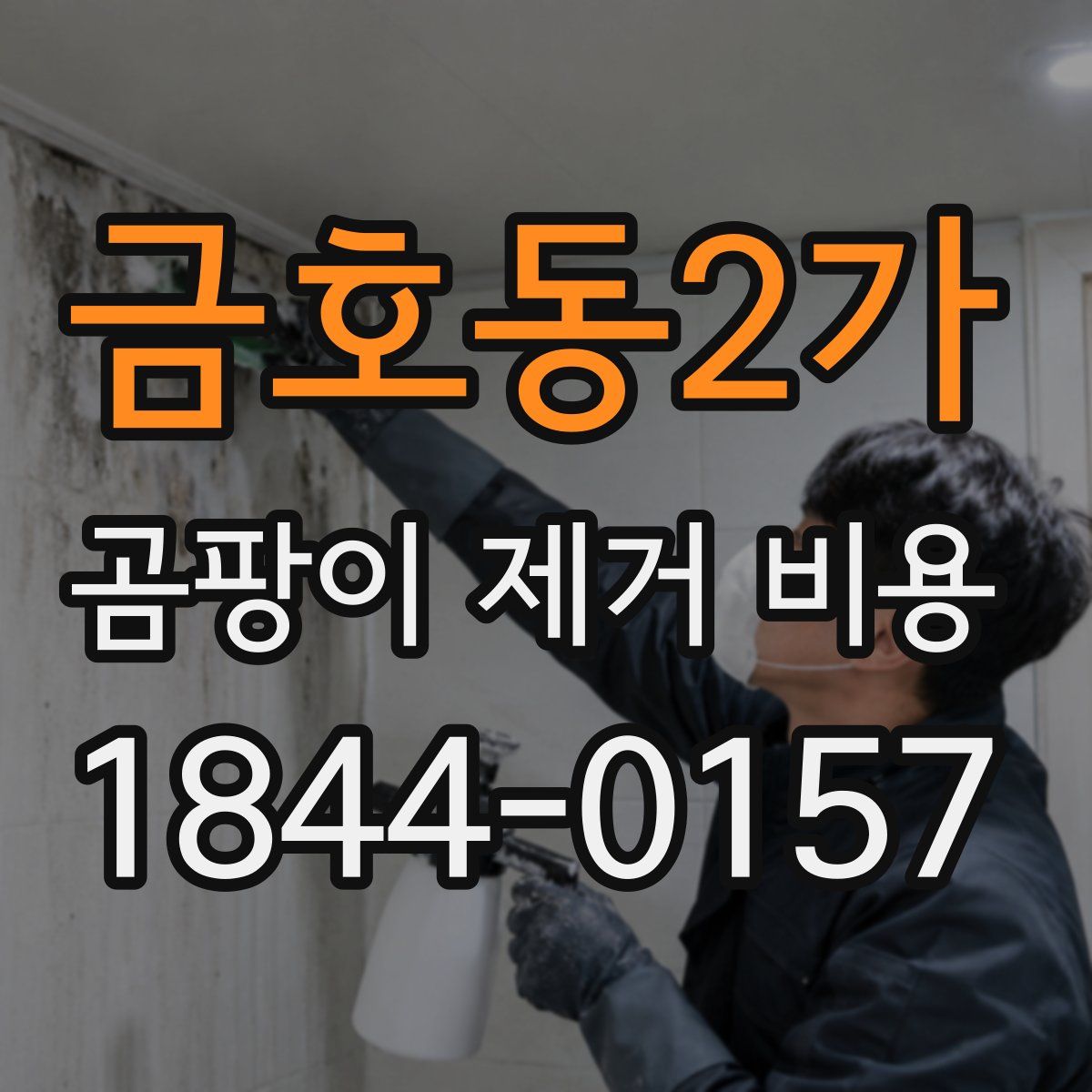 금호동2가 곰팡이 제거 비용