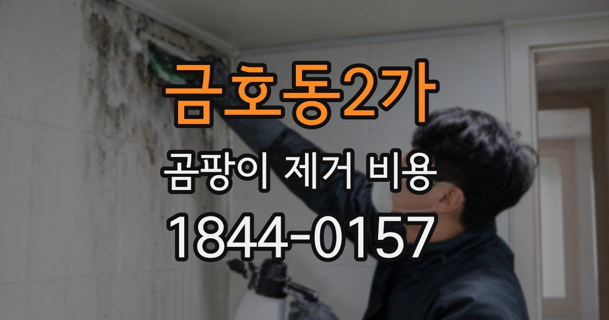 금호동2가 곰팡이 제거 비용