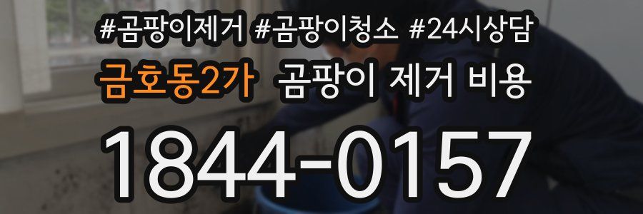 금호동2가 곰팡이 제거 비용