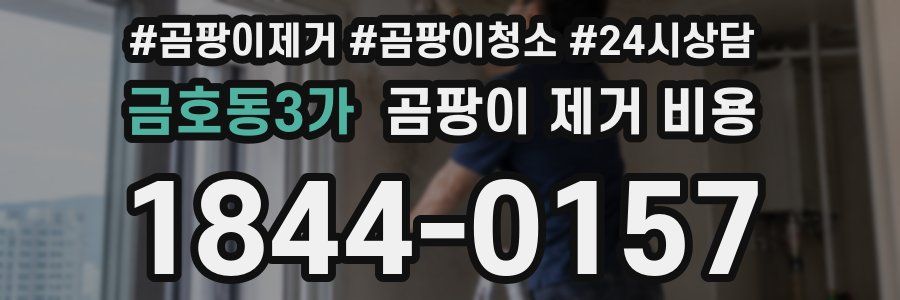 금호동3가 곰팡이 제거 비용