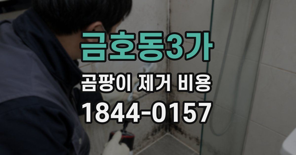 금호동3가 곰팡이 제거 비용