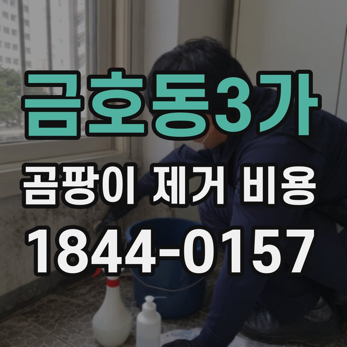금호동3가 곰팡이 제거 비용