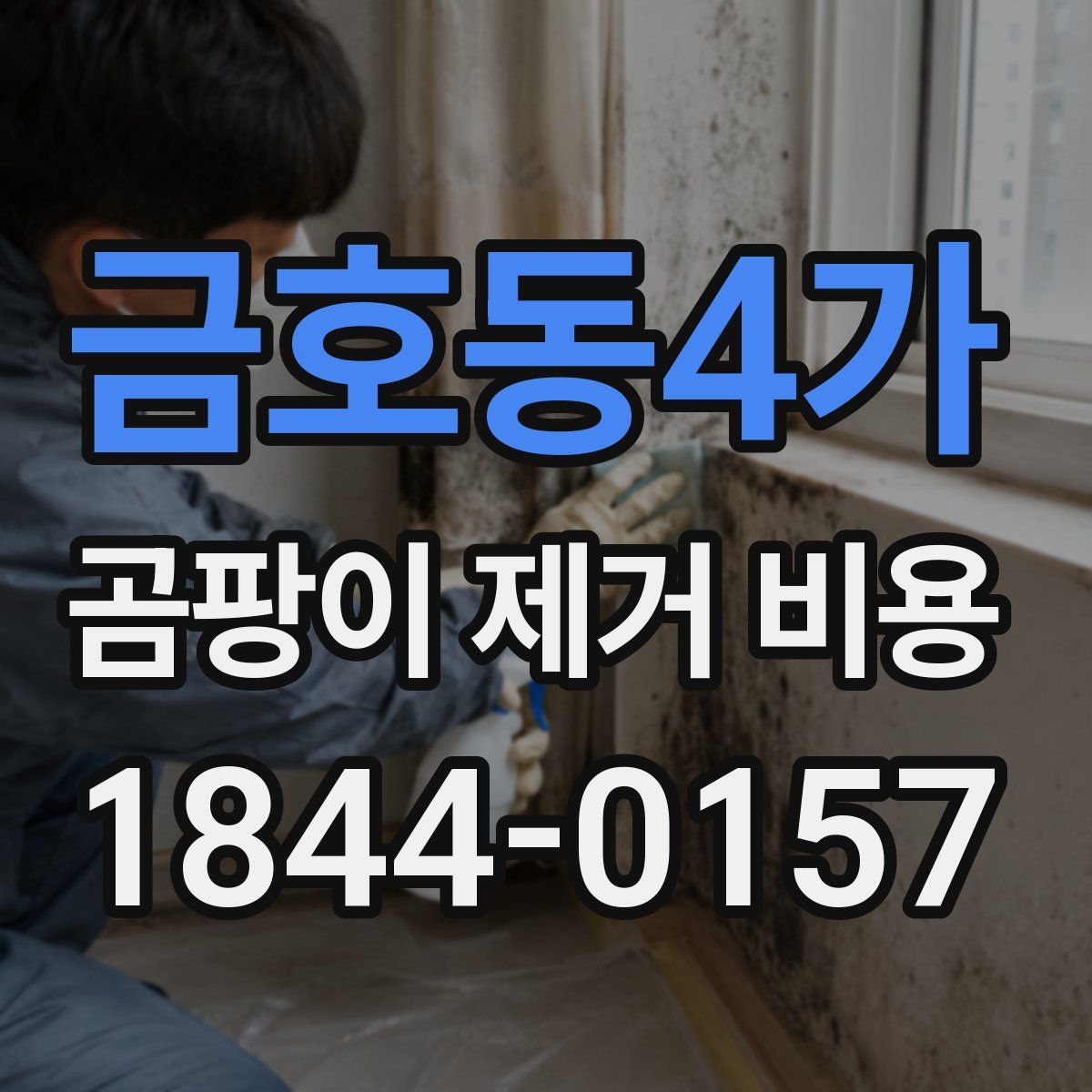 금호동4가 곰팡이 제거 비용