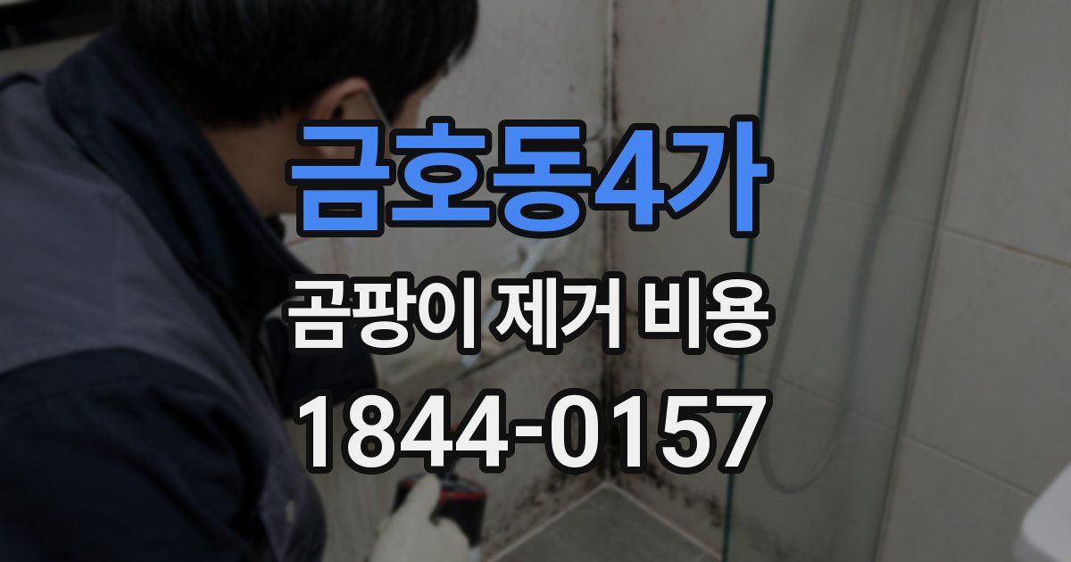 금호동4가 곰팡이 제거 비용