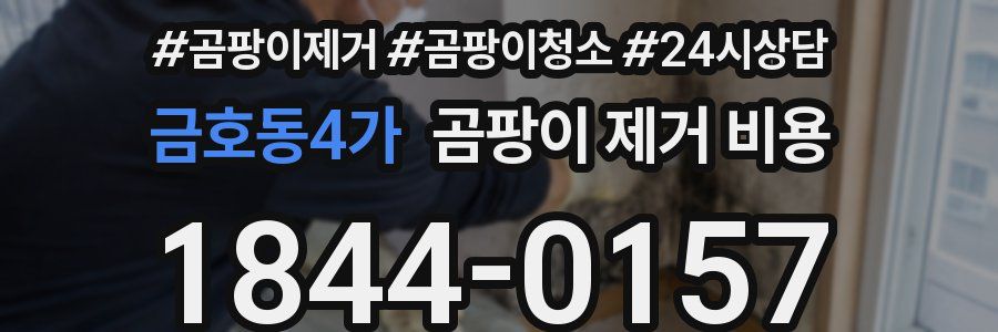 금호동4가 곰팡이 제거 비용