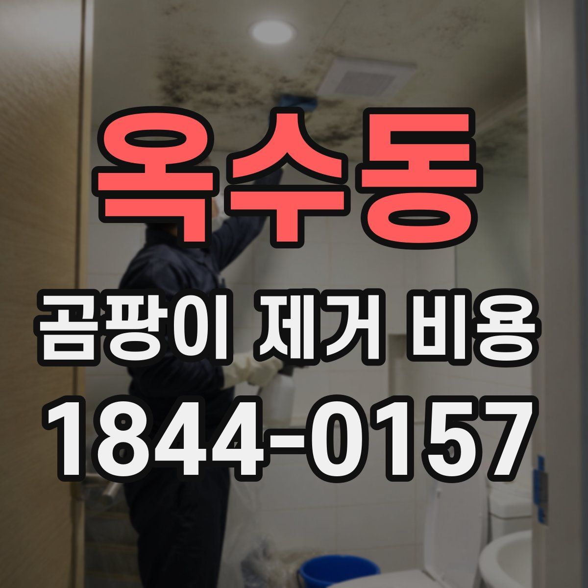 옥수동 곰팡이 제거 비용