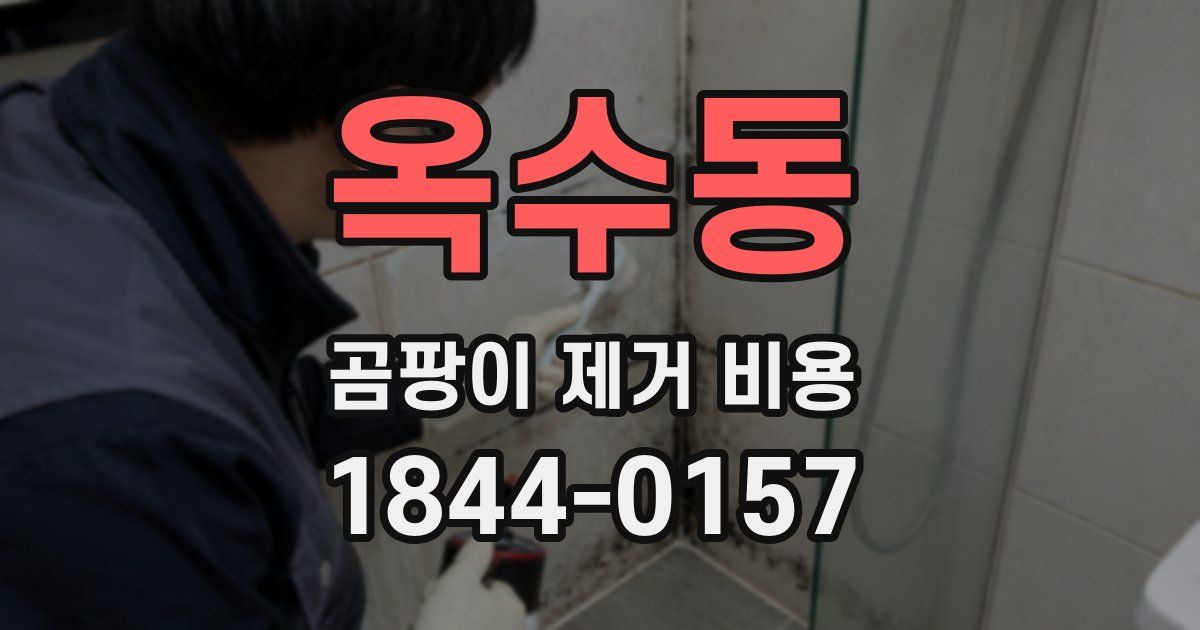 옥수동 곰팡이 제거 비용