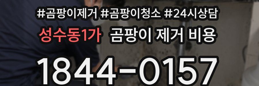 성수동1가 곰팡이 제거 비용