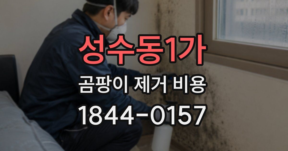 성수동1가 곰팡이 제거 비용