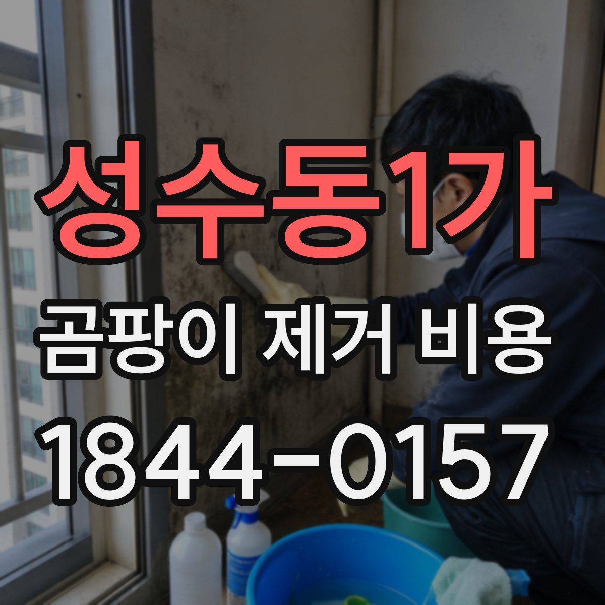 성수동1가 곰팡이 제거 비용