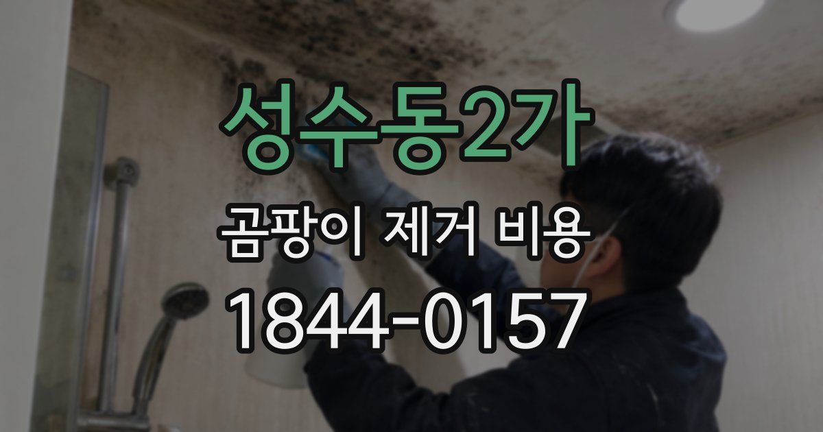 성수동2가 곰팡이 제거 비용