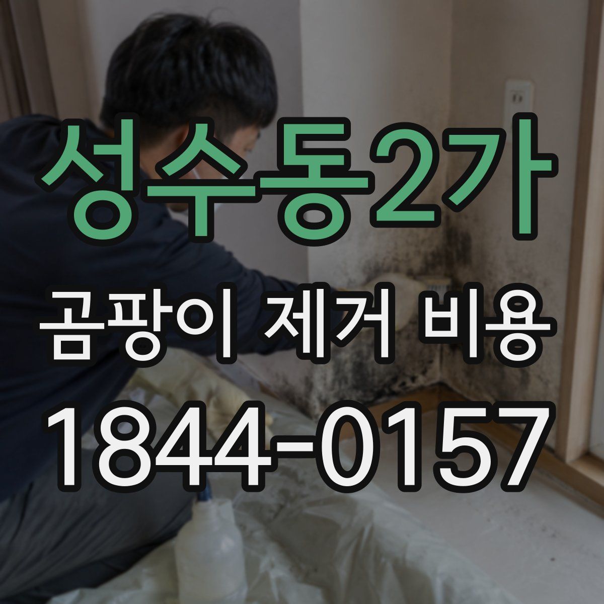 성수동2가 곰팡이 제거 비용