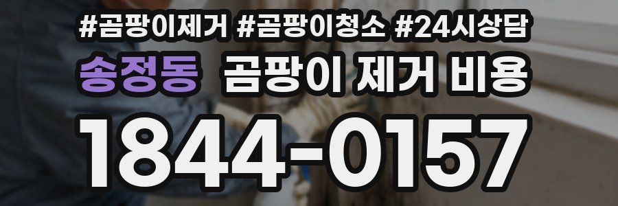 송정동 곰팡이 제거 비용