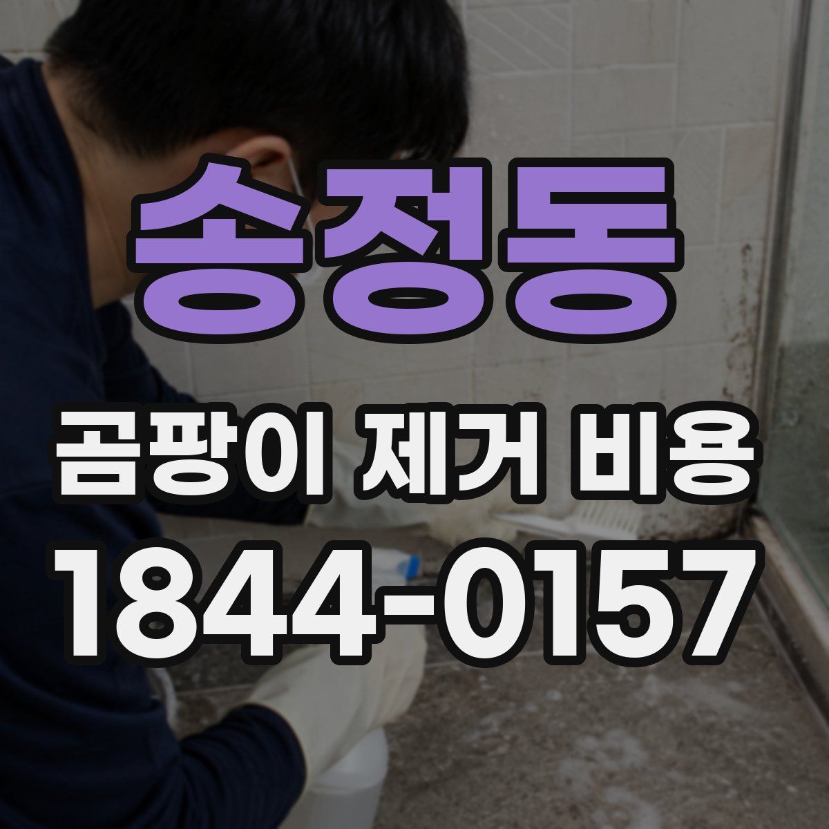 송정동 곰팡이 제거 비용
