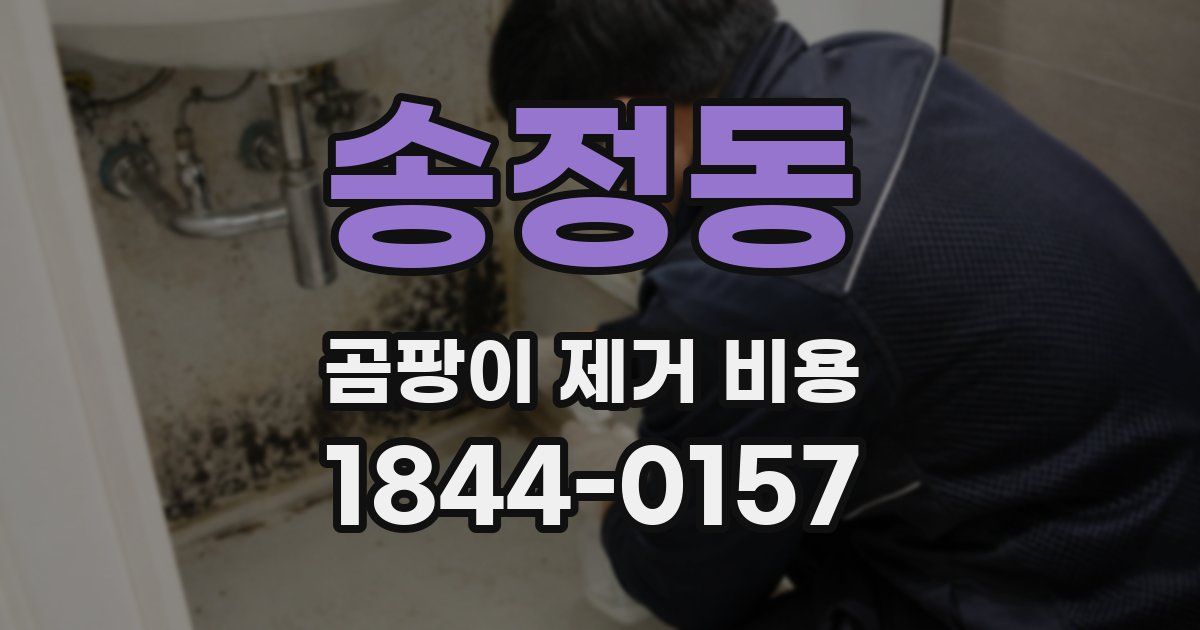 송정동 곰팡이 제거 비용