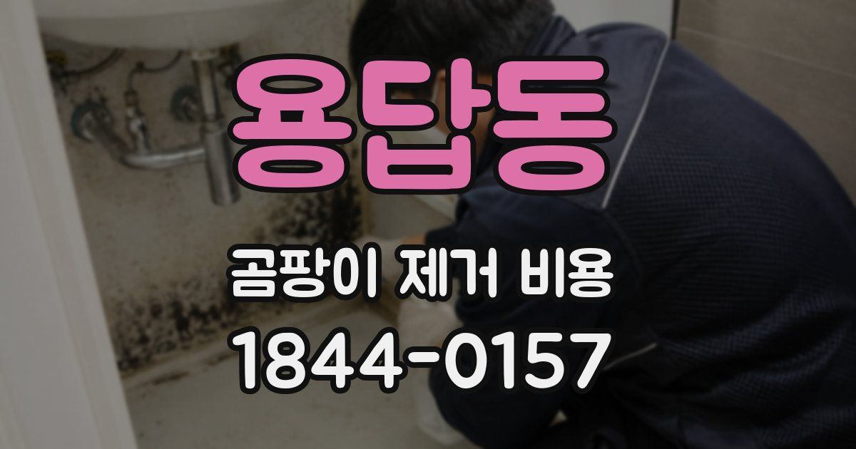 용답동 곰팡이 제거 비용