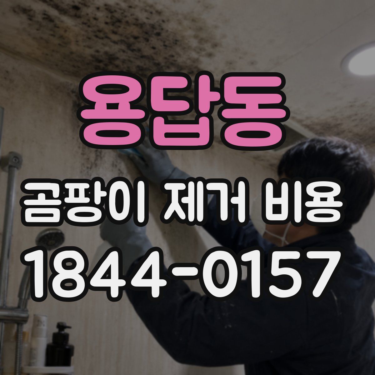 용답동 곰팡이 제거 비용