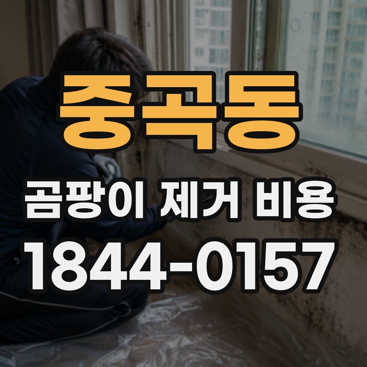 중곡동 곰팡이 제거 비용