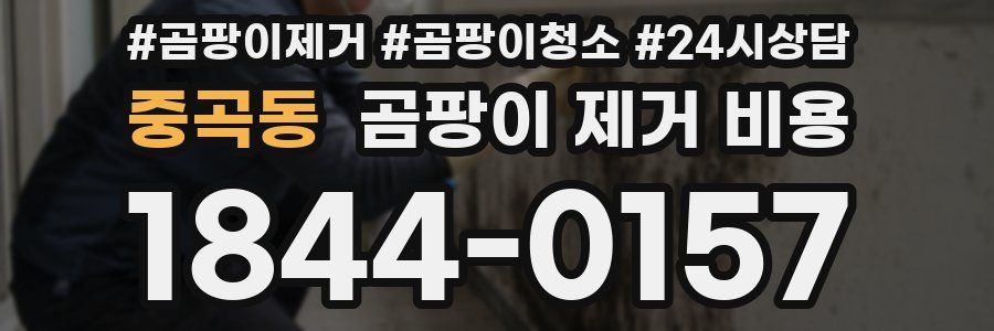 중곡동 곰팡이 제거 비용