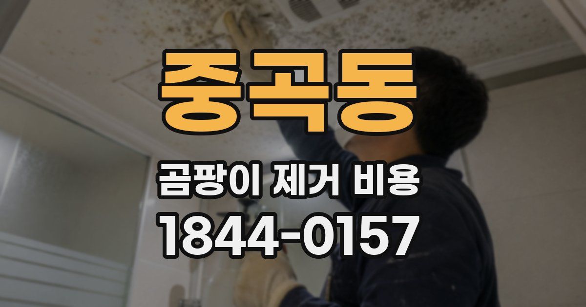 중곡동 곰팡이 제거 비용