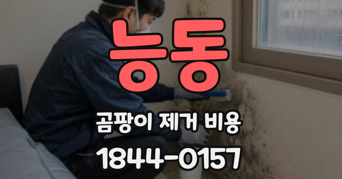 능동 곰팡이 제거 비용