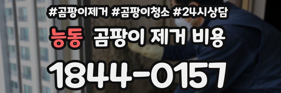 능동 곰팡이 제거 비용